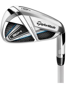 SIM Max Stahl Einzeleisen