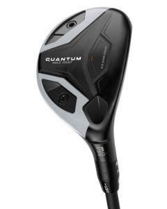 Quantum Max Fast Hybrid Lady