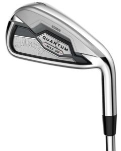 Quantum Max OS Eisen Lady