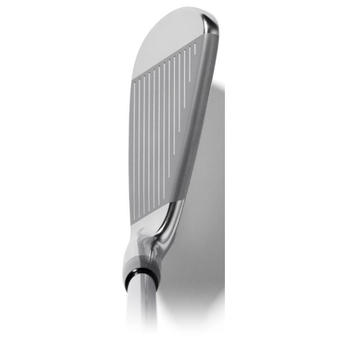 Mizuno Pro M15 Eisen Stahl